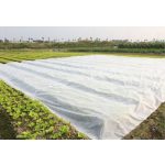 Agrigold fátyolfólia 6,35mx100m 19g/m2