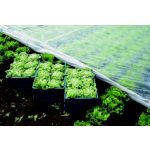 Agroterm fátyolfólia 6,35mx100m 23g/m2