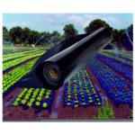 perforált fekete UV talajtakaró fólia 1,2mx0,03x10m (Bendifol)