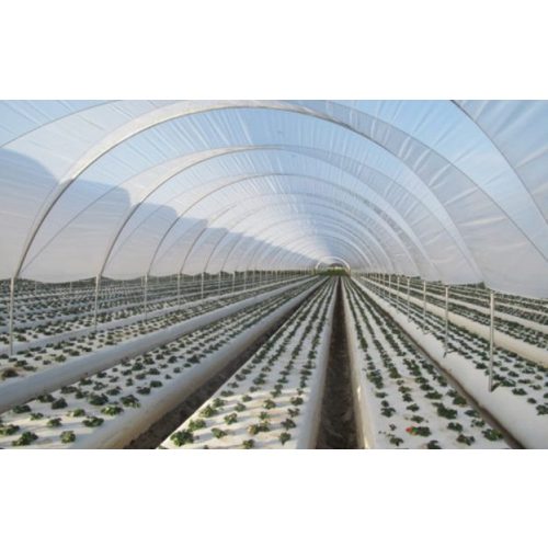 UV3 Ginegar Izraeli fólia 8,5mx0,18x60m SUNSAVER DIFFUSED 