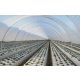 UV3 Ginegar Izraeli fólia 8,5mx0,18x60m SUNSAVER DIFFUSED 